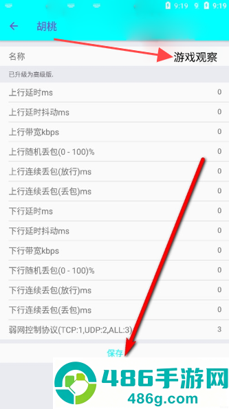 胡桃弱网10.0参数