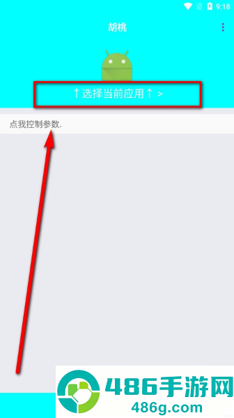 胡桃弱网10.0参数