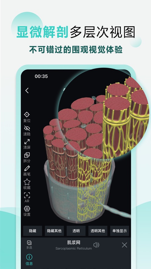 掌上3d解剖app