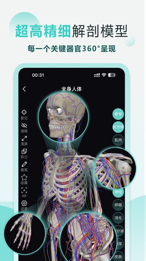 掌上3d解剖app
