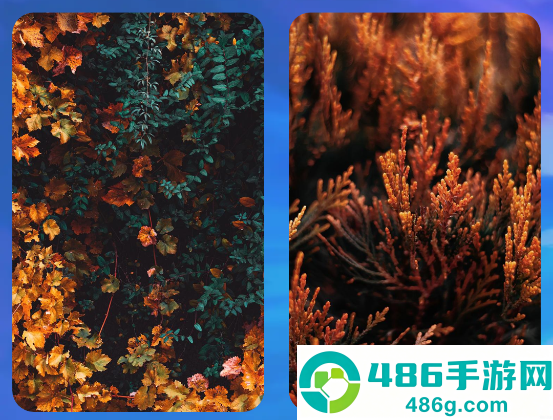 画与未来壁纸
