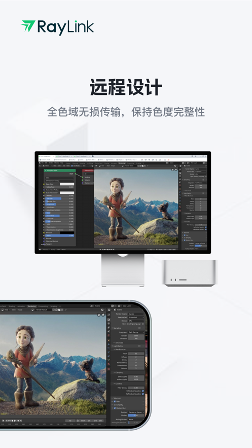 raylink app