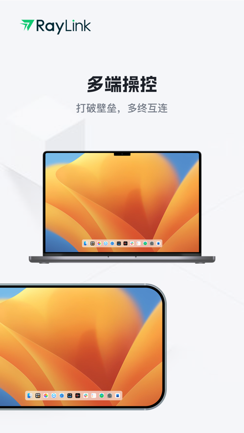 raylink app