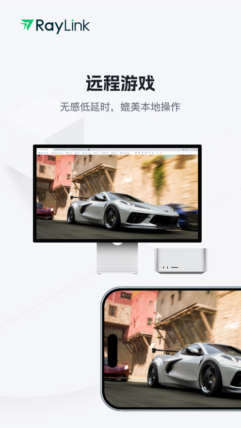 raylink app