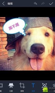 光影魔术手app