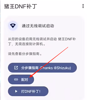 猪王DNF补丁