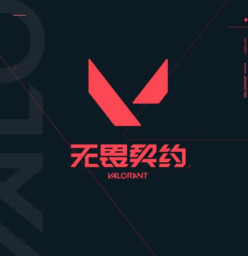掌瓦怎么隐藏战绩 掌瓦战绩怎么关【全方位秘籍】