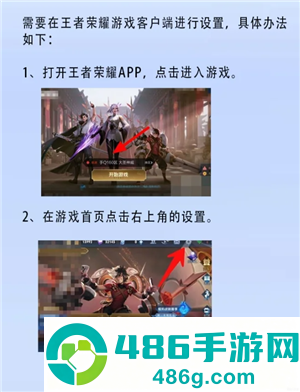 王者荣耀怎么设置隐私状态 王者荣耀怎么设置战绩别人看不见