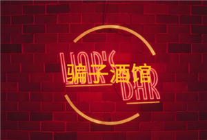 骗子酒馆玩法介绍 骗子酒馆打牌规则【核心要点】