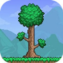 泰拉瑞亚1.4.4.9汉化版2025最新版(Terraria)