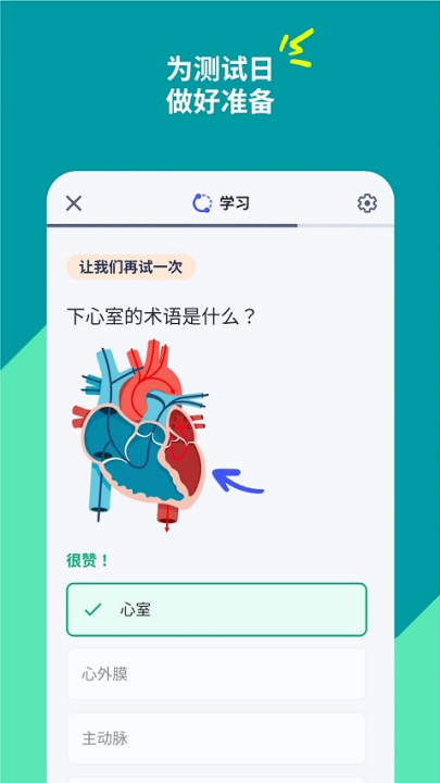 quizlet