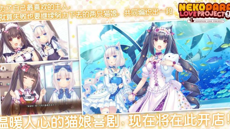 猫娘乐园