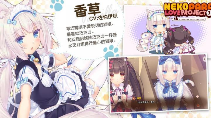 猫娘乐园