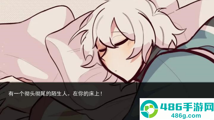 病娇抱枕游戏