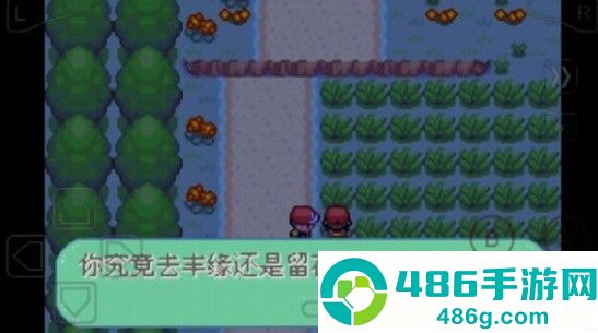 口袋妖怪彼岸花绽放之夜手机版(口袋妖怪:新世界传奇·彼岸花绽放之夜2016)