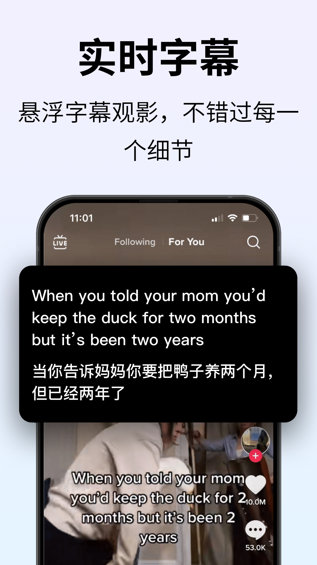 polypal