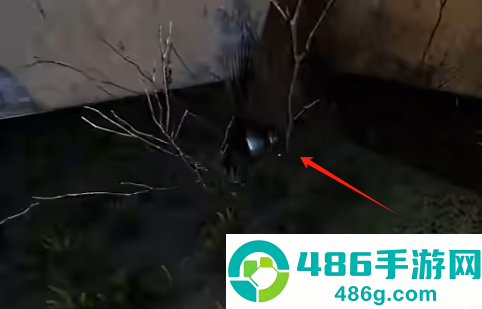 卡马拉恐怖游戏手机版(卡马拉安装器)