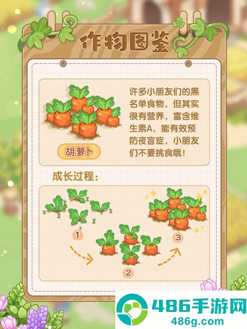最终的梦幻岛游戏