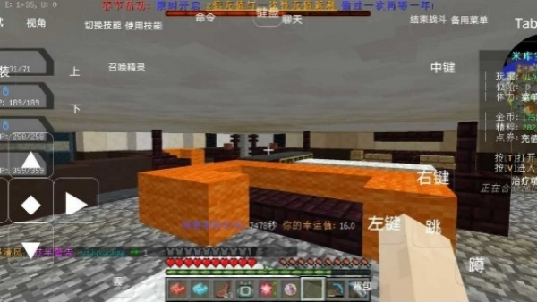 我的世界