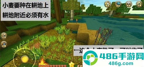 九游版迷你世界