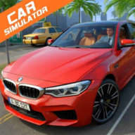 汽车模拟器m5中文版(Car Simulator M5)