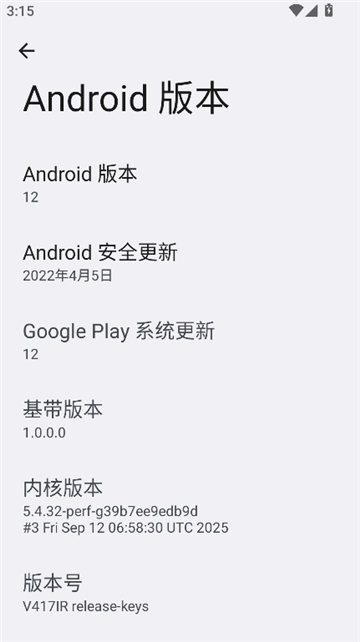 开发者选项