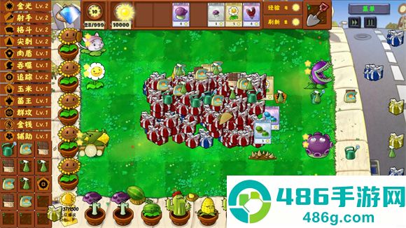 PVZ金铲铲版下载最新版本(Plants Vs Zombies Golden chess)