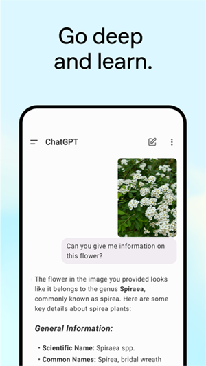ChatGPT2