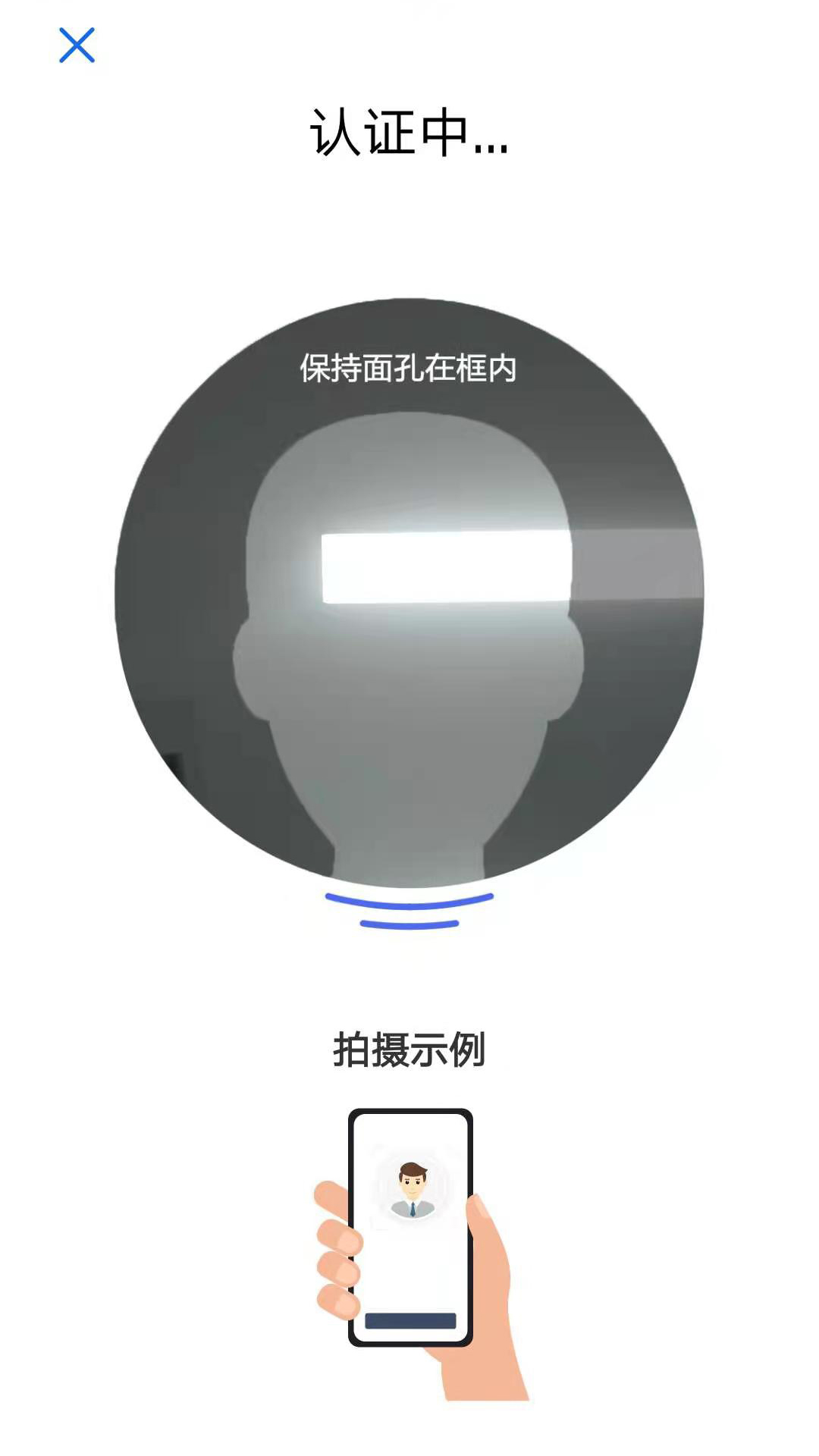 斑马