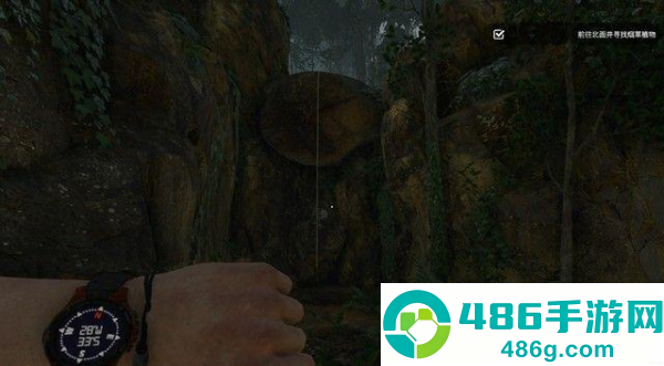 绿色地狱steam移植版