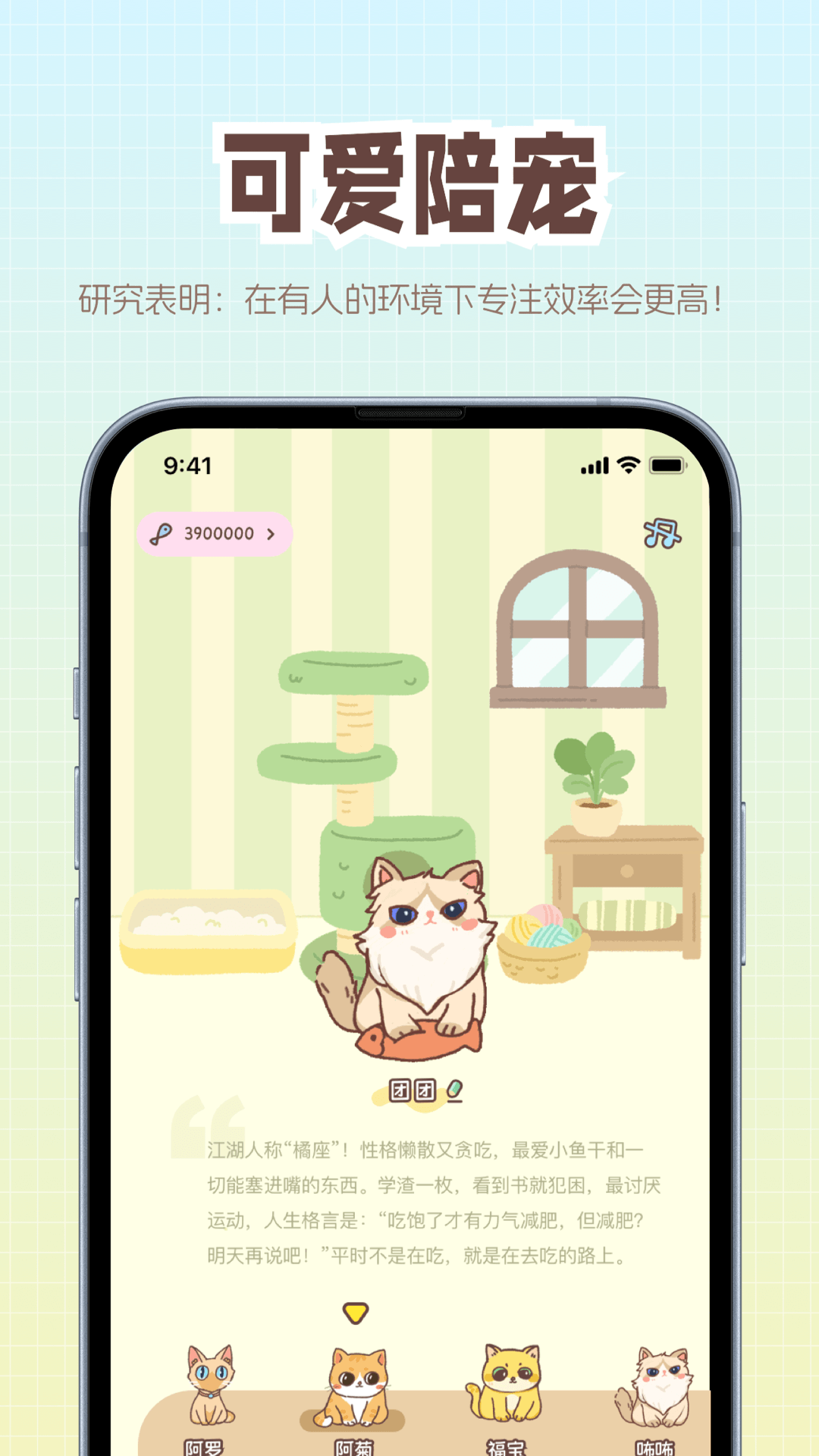 猫爪专注