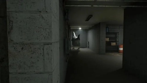 鸡脚