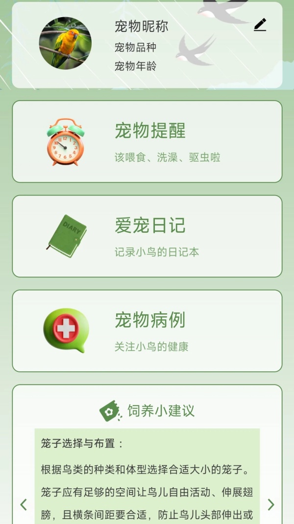 鸟语星球