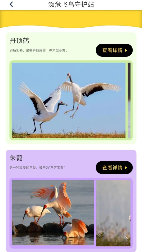 鸟语星球