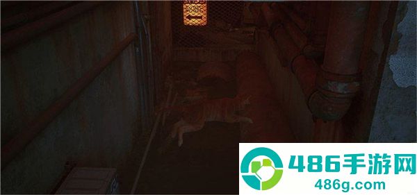 赛博猫迷失手机版(迷失Stray)