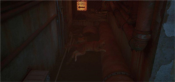 赛博猫迷失