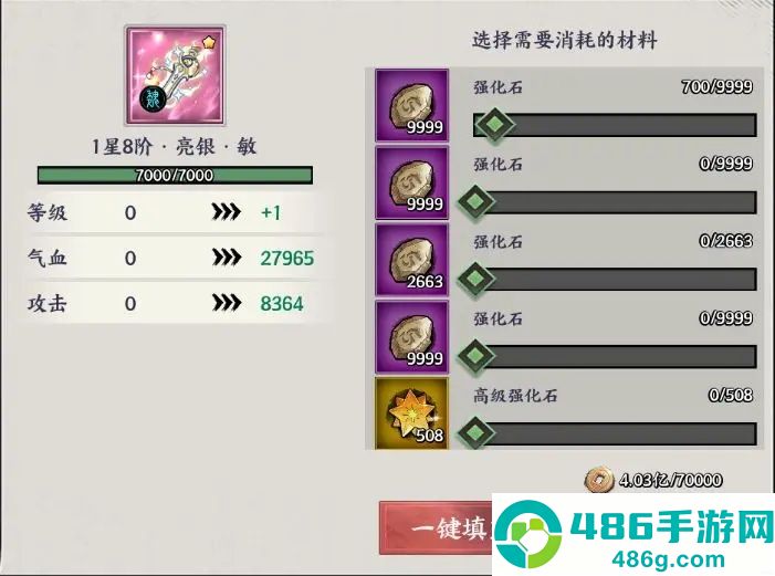 征服与荣耀荣耀版