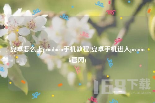 安卓手机如何进入proumb网站-安卓手机进入proumb网站教程【完全解析】
