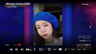 王视