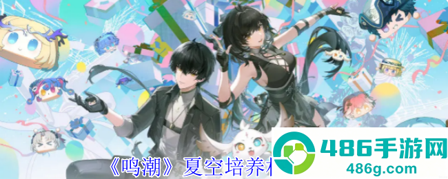 鸣潮夏空毕业培养材料清单