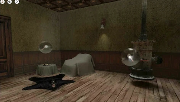 the Experiment