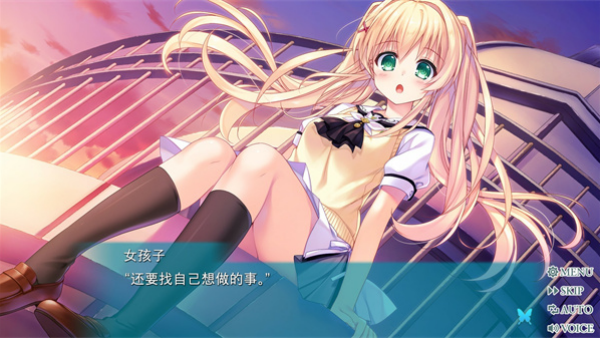 夏日口袋