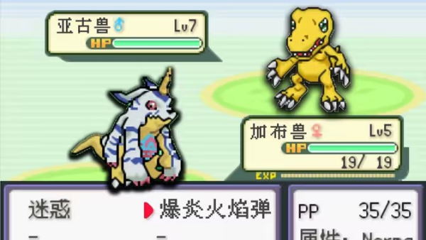 口袋妖怪