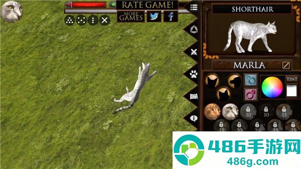 终极猫模拟器手机版(RTK_UltCatSim)