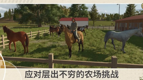 模拟农场26