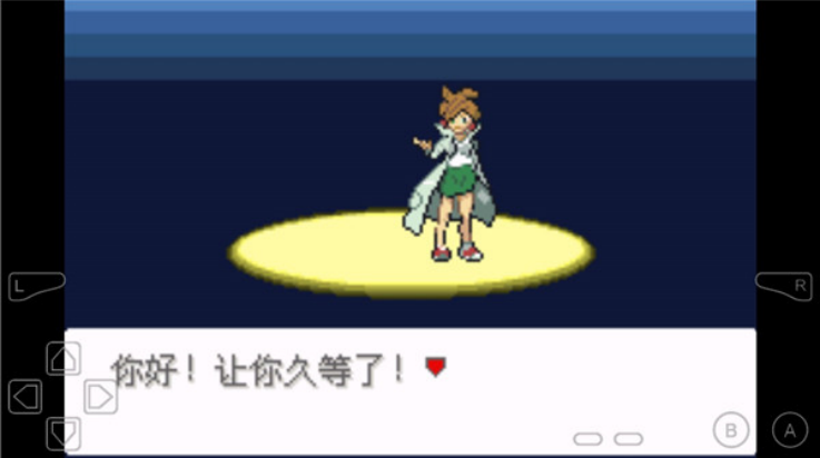 口袋妖怪