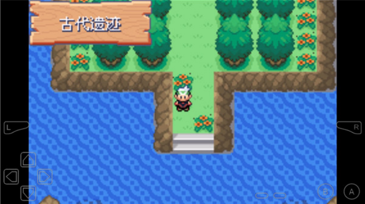 口袋妖怪