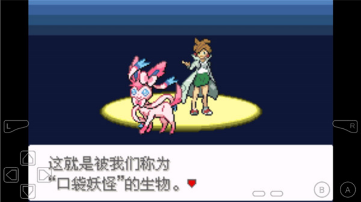 口袋妖怪
