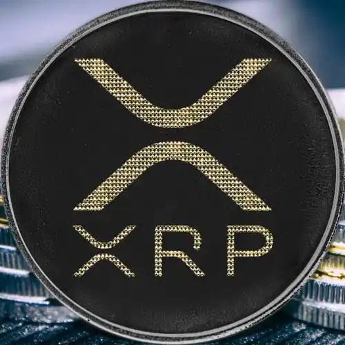 ripple交易所app官方版