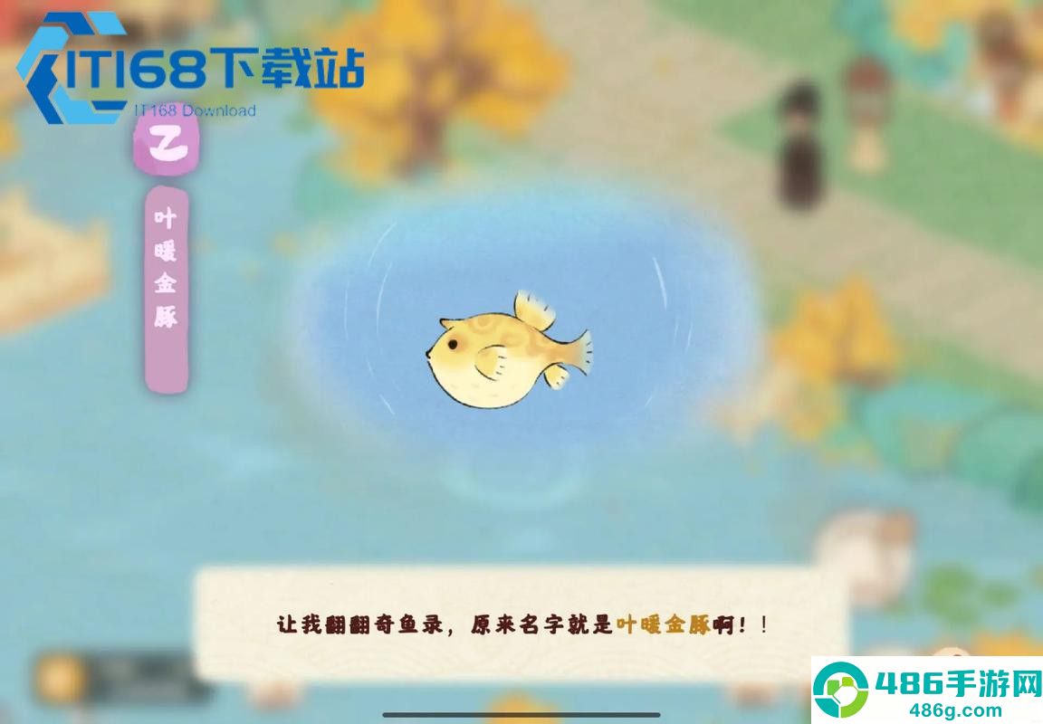 锦鱼钓鱼攻略
